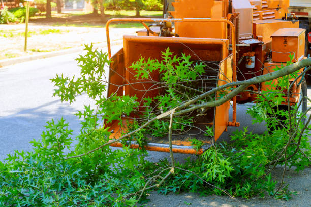 Best Lawn Grading and Leveling  in Flora, MS