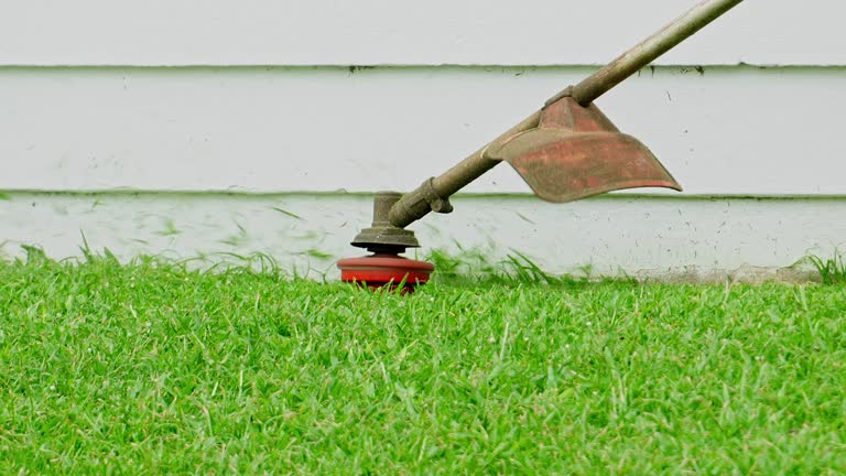 Best Lawn Renovation and Restoration  in Flora, MS